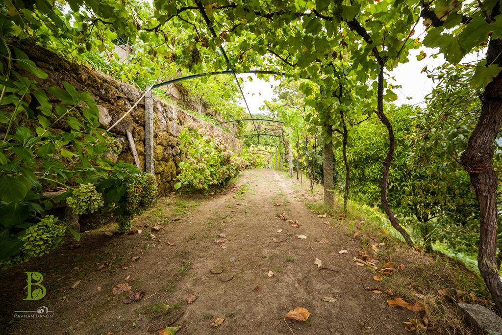 Quinta Da Bouca - Agroturismo Pacos de Gaiolo Bilik gambar