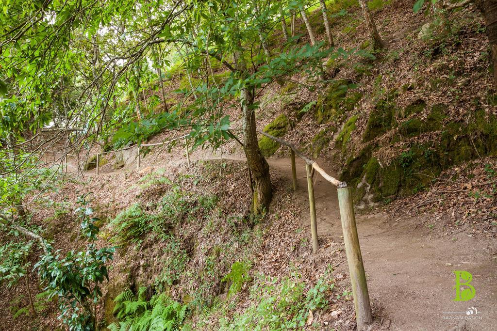 Quinta Da Bouca - Agroturismo Pacos de Gaiolo Bilik gambar