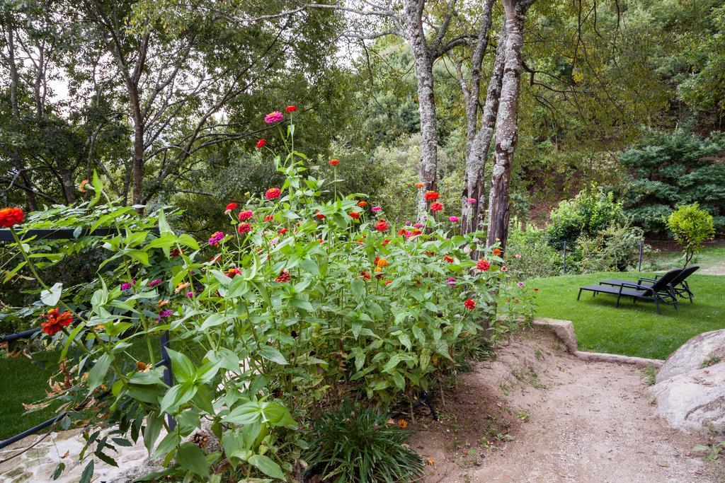 Quinta Da Bouca - Agroturismo Pacos de Gaiolo Bilik gambar